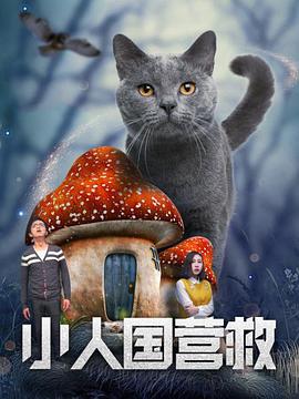 久久久国产精彩视频美女艺术照福利