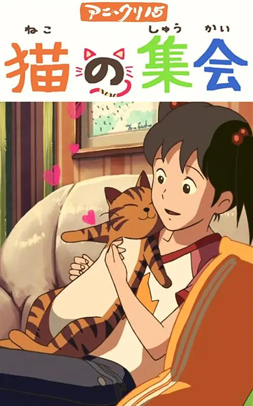 sss新视频
