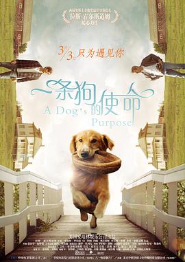 天天操天天弄