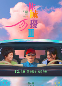 久久久久亚洲精品